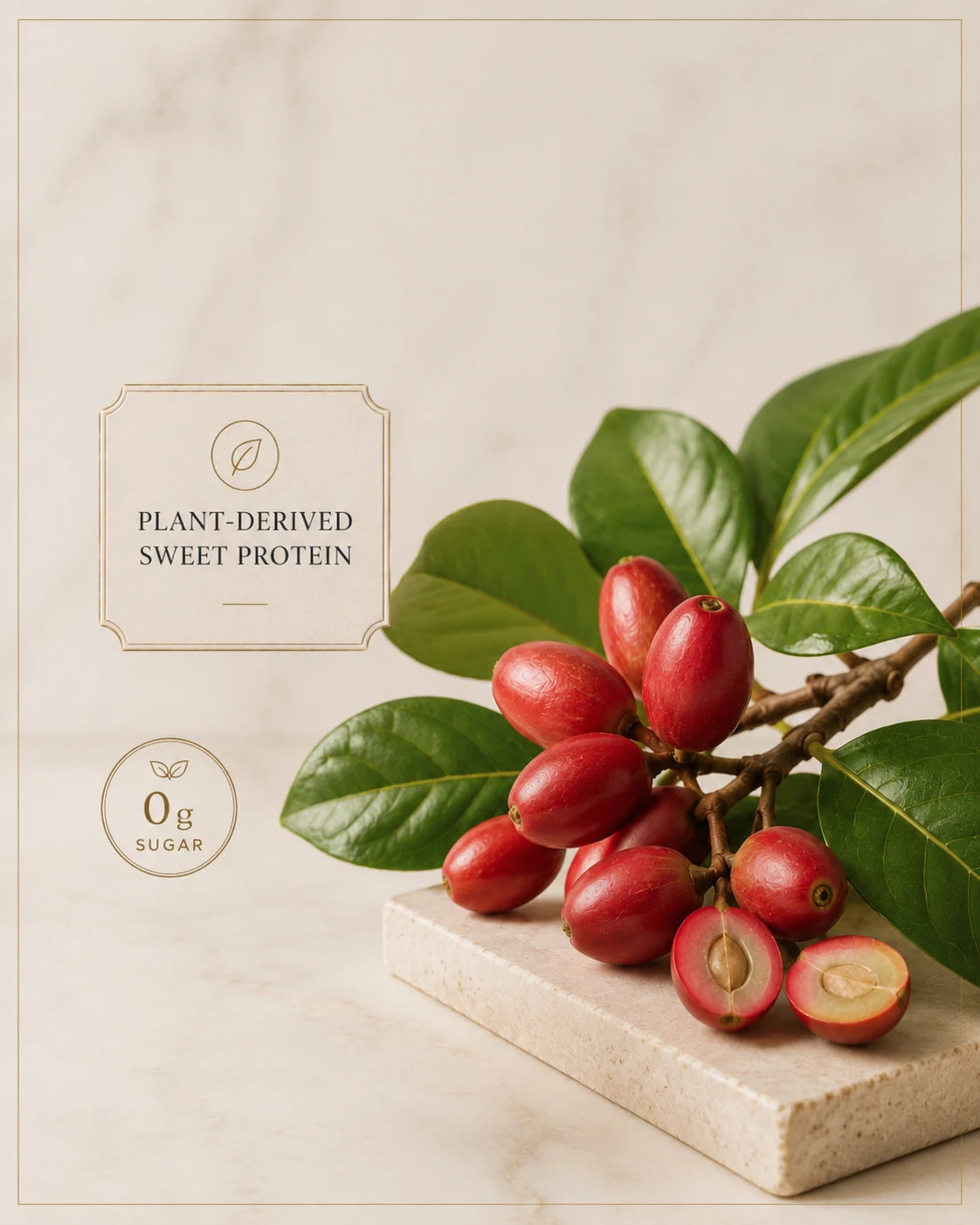 Katemfe fruit and leaves illustrating thaumatin as a plant-derived sweet protein.